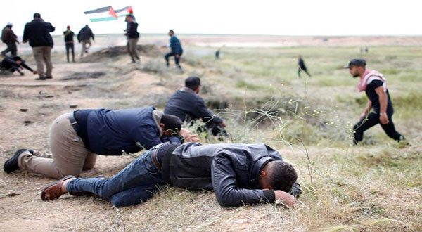 ’Israel’ Scraps UN, EU Calls for Investigation into Gaza Bloodshed